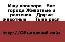 Ищу спонсора - Все города Животные и растения » Другие животные   . Тыва респ.